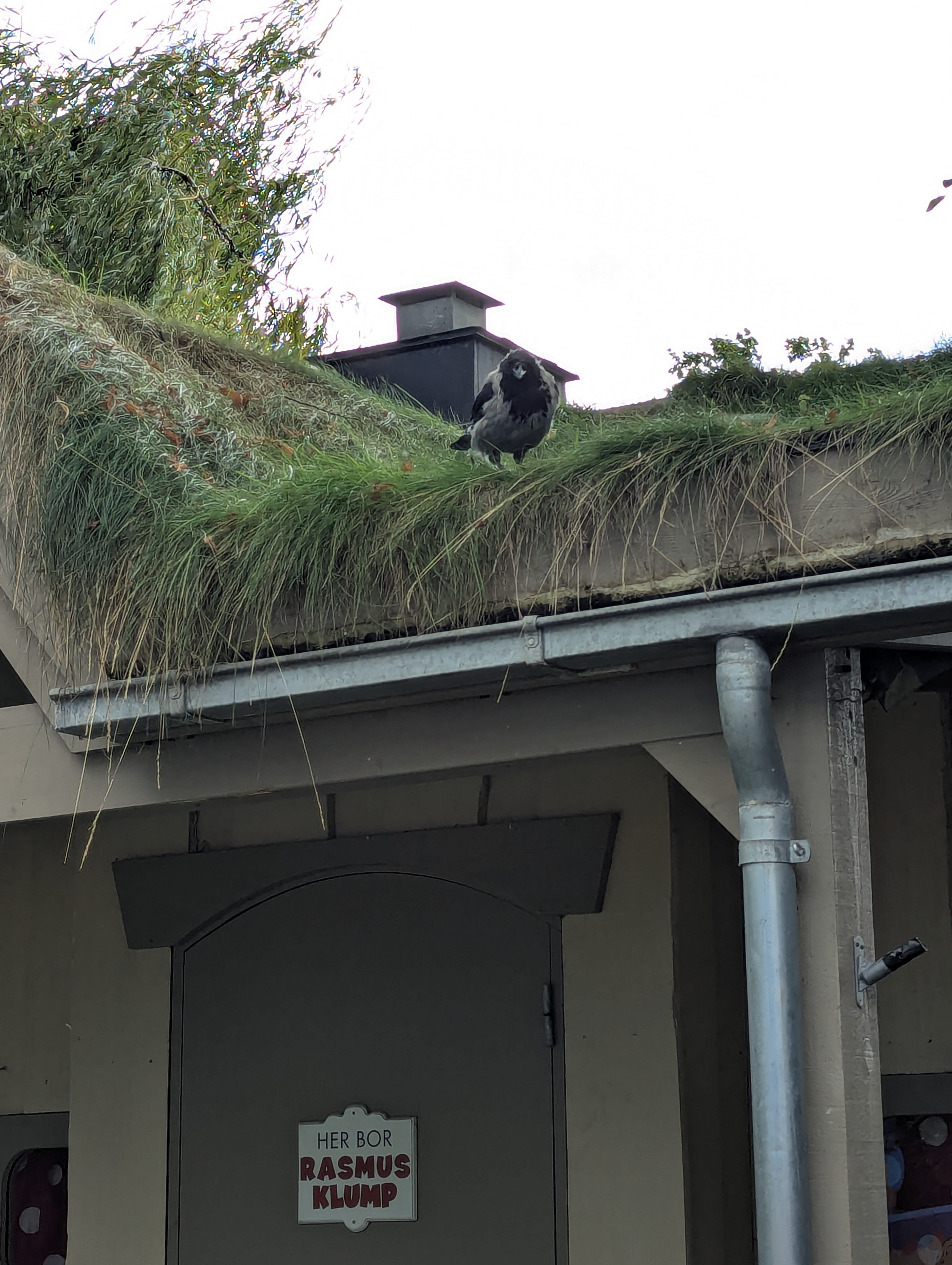 Copenhagen, SSPC, Tivoli, Denmark